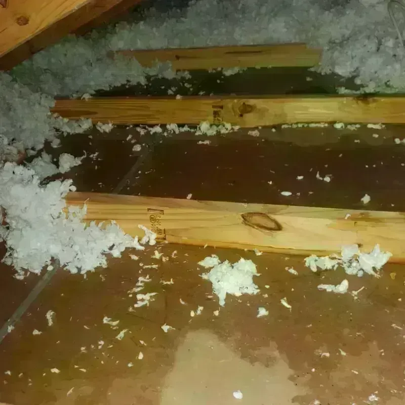 Attic Water Damage in Sneads, FL