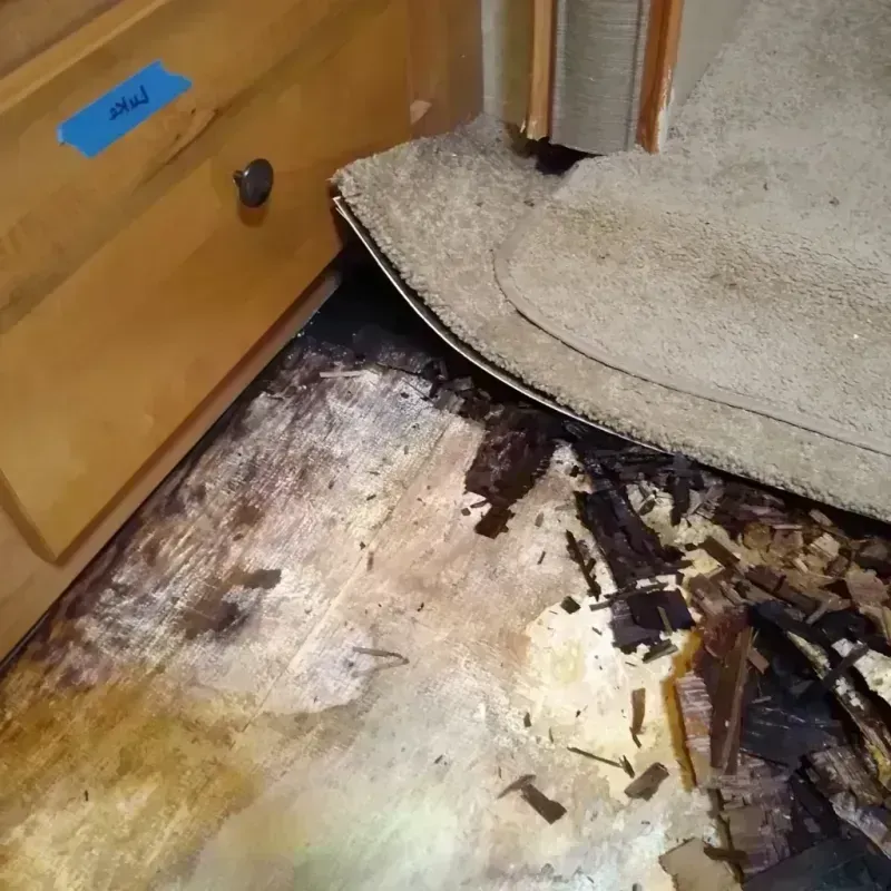 Best Wood Floor Water Damage Service in Sneads, FL